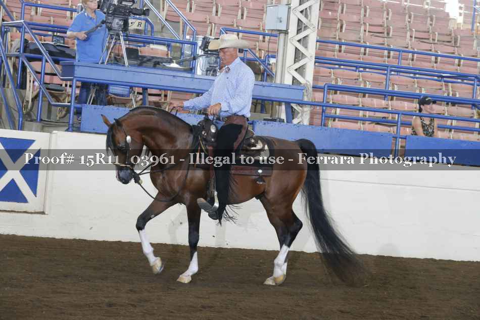 Proof 15R11_03961