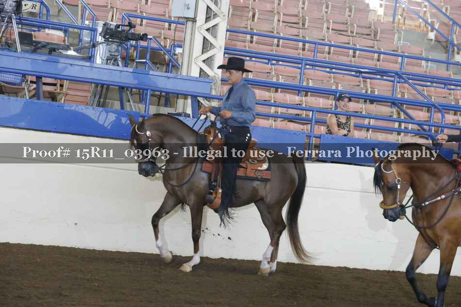 Proof 15R11_03963