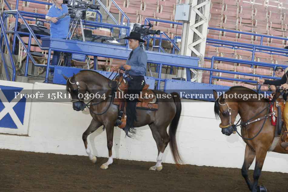 Proof 15R11_03964