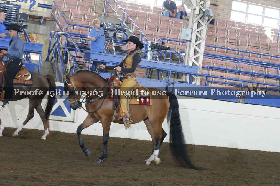 Proof 15R11_03965