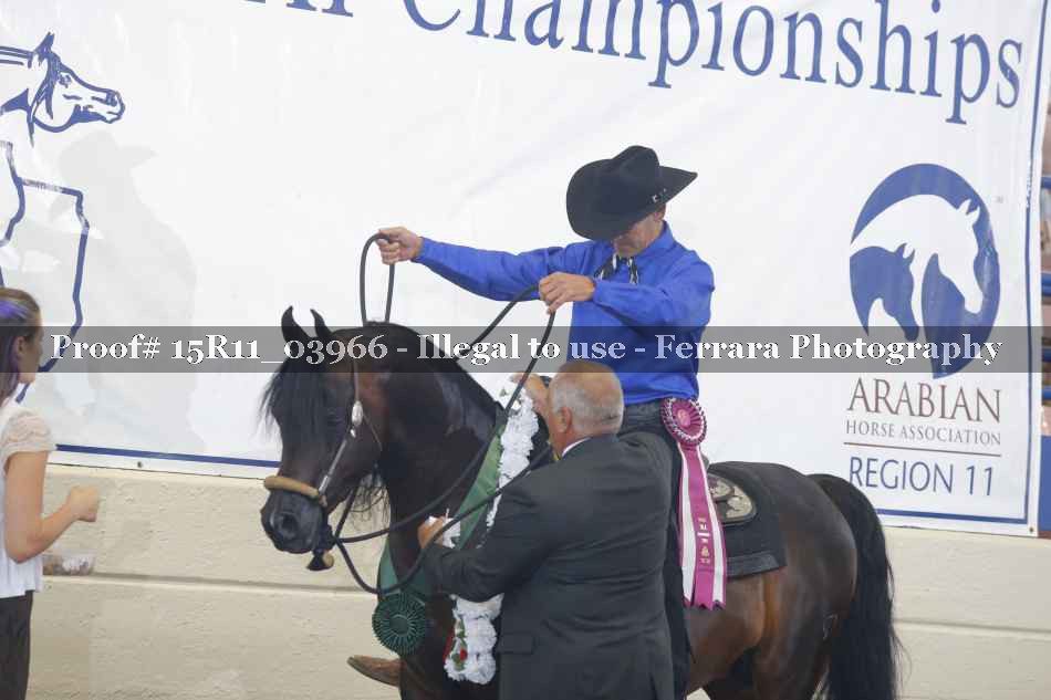 Proof 15R11_03966