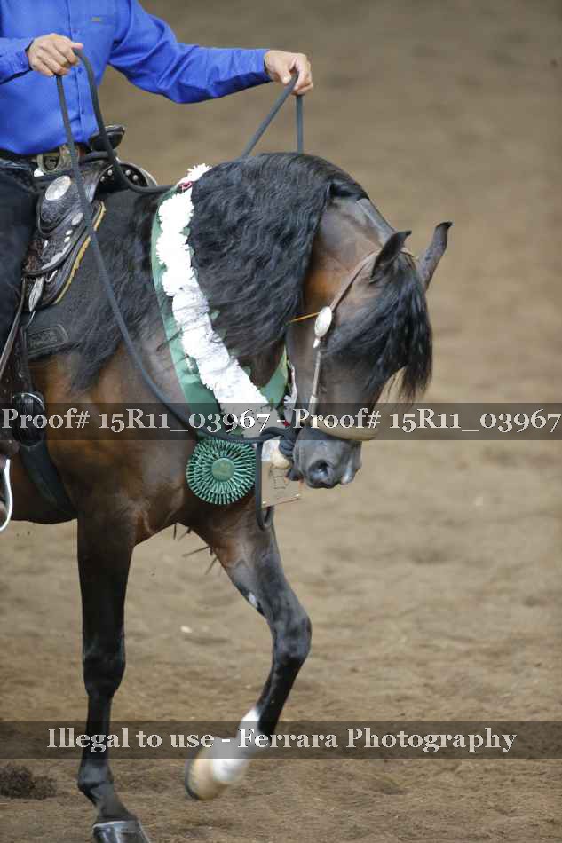 Proof 15R11_03967