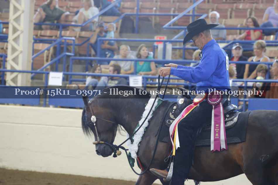 Proof 15R11_03971