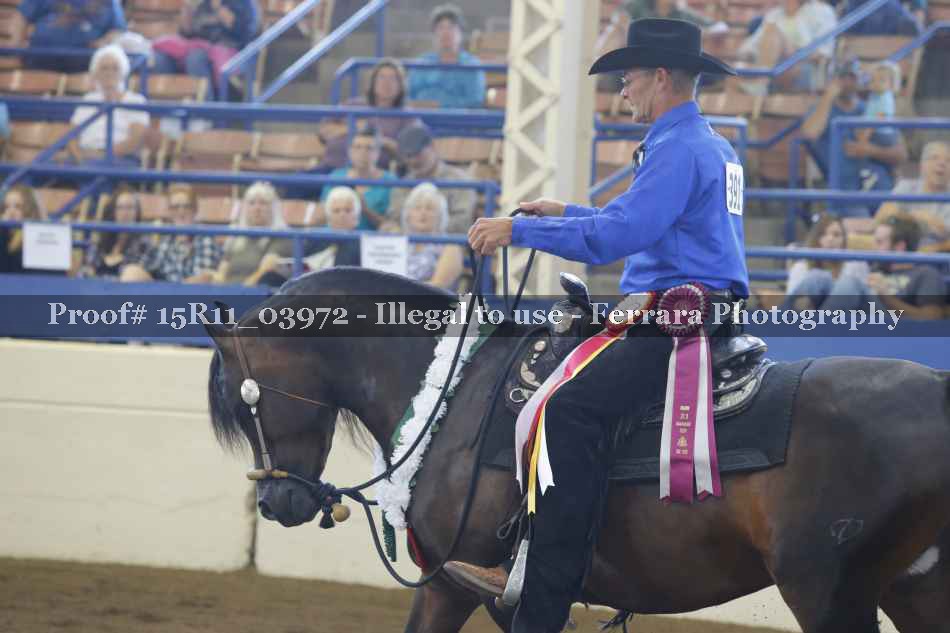 Proof 15R11_03972