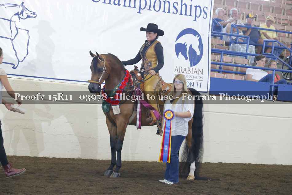 Proof 15R11_03978