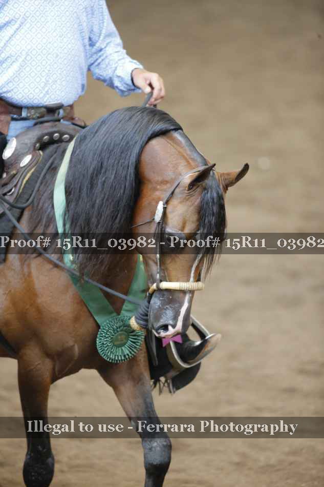 Proof 15R11_03982
