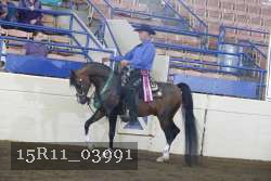 15R11_03991 proof