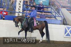 15R11_03993 proof