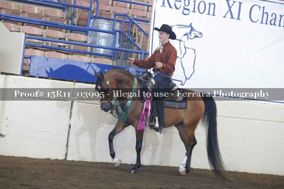 Proof 15R11_03995