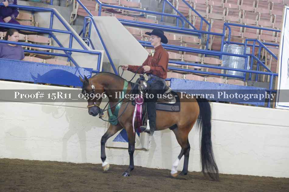 Proof 15R11_03996