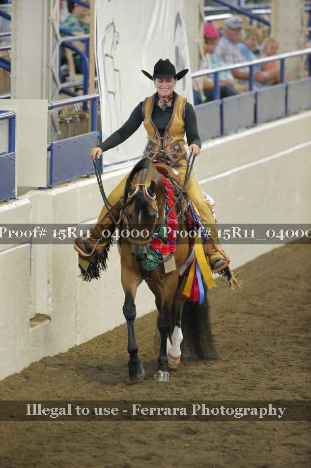 Proof 15R11_04000