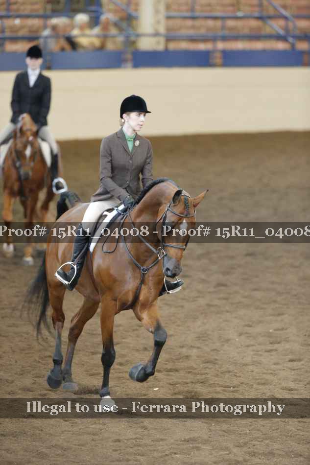Proof 15R11_04008