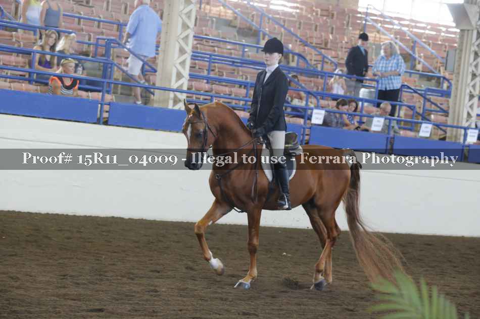 Proof 15R11_04009