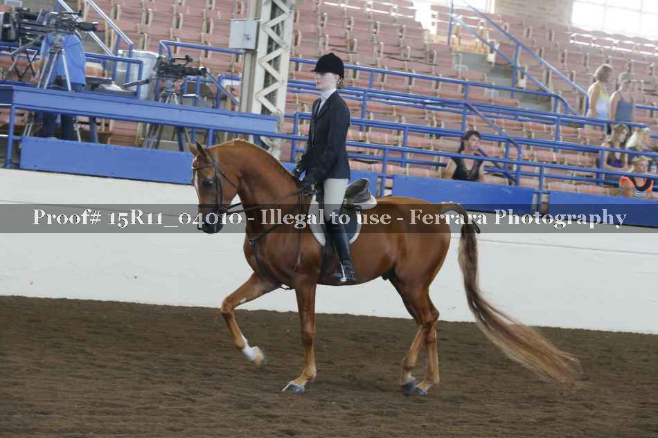 Proof 15R11_04010