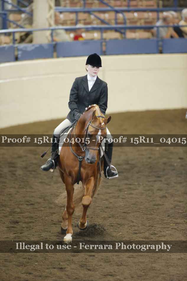 Proof 15R11_04015