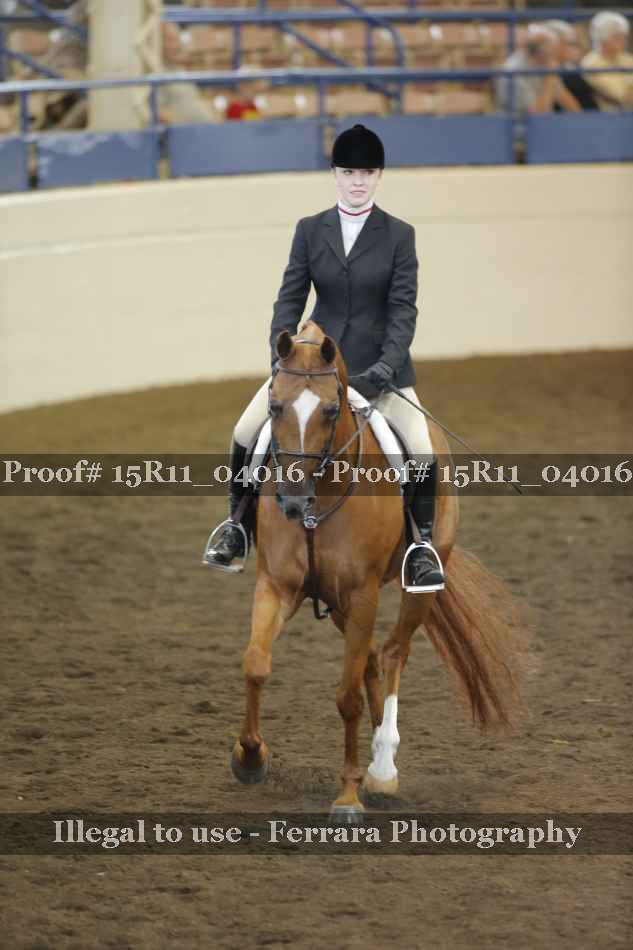 Proof 15R11_04016