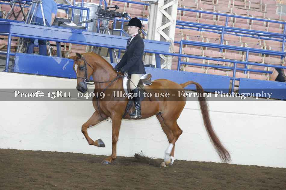 Proof 15R11_04019