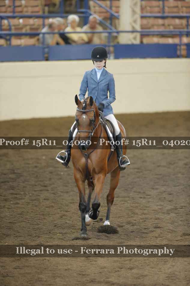 Proof 15R11_04020