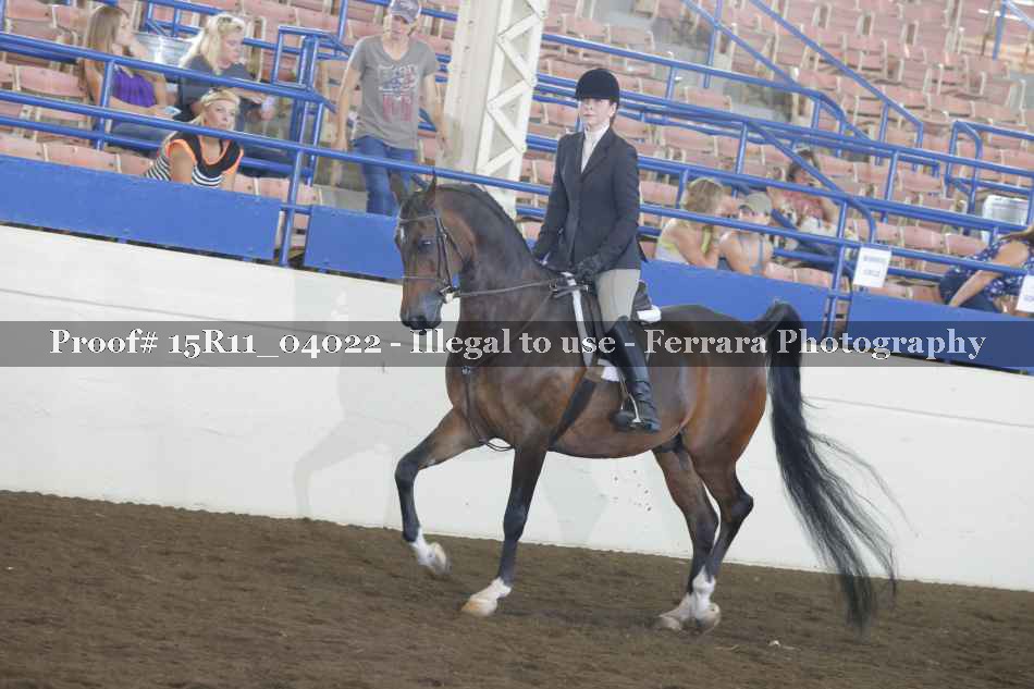 Proof 15R11_04022