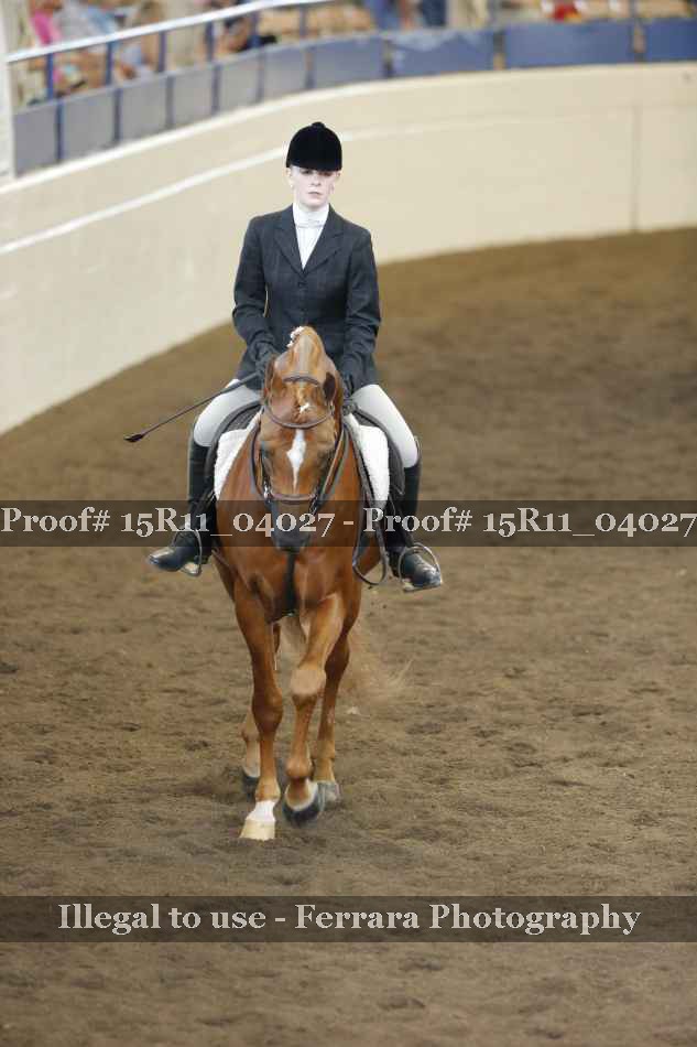 Proof 15R11_04027