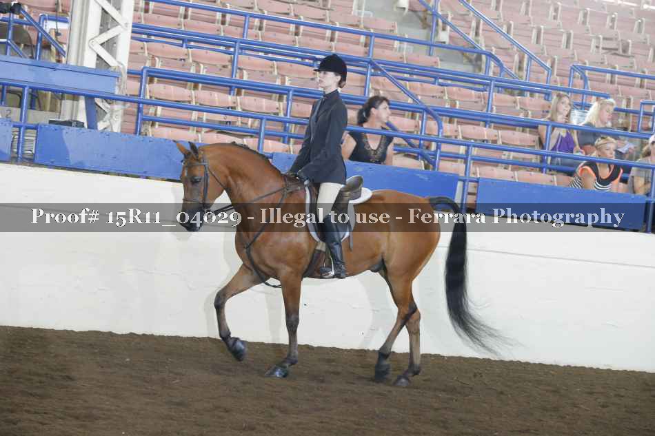 Proof 15R11_04029