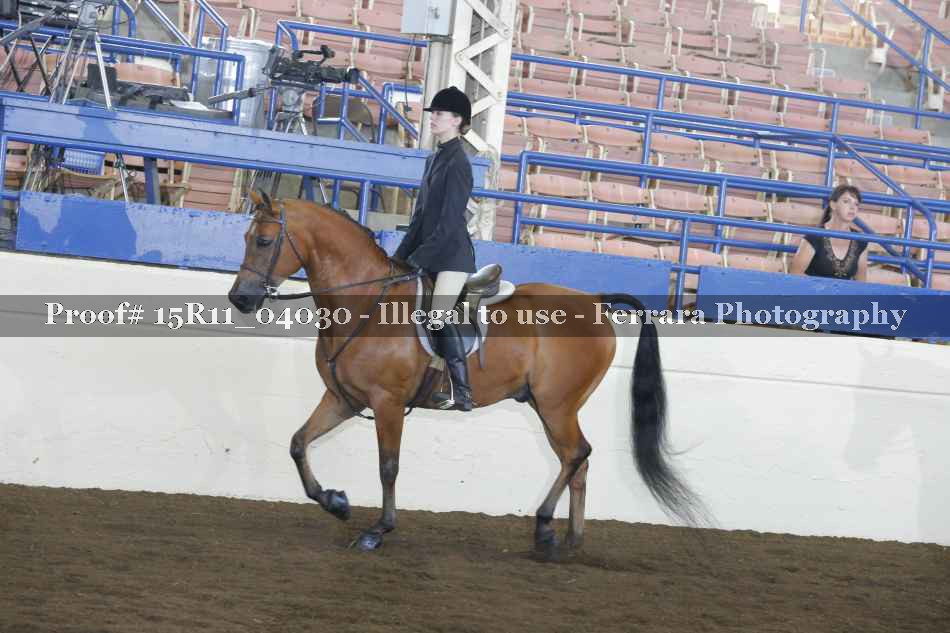 Proof 15R11_04030