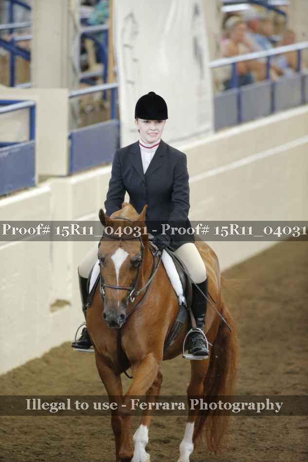 Proof 15R11_04031