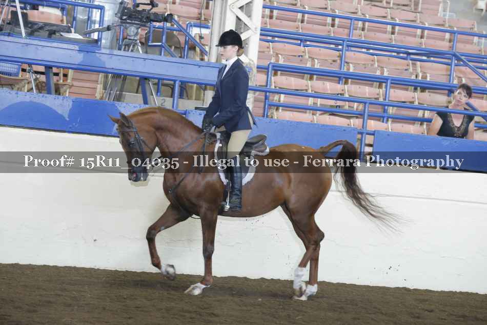 Proof 15R11_04035