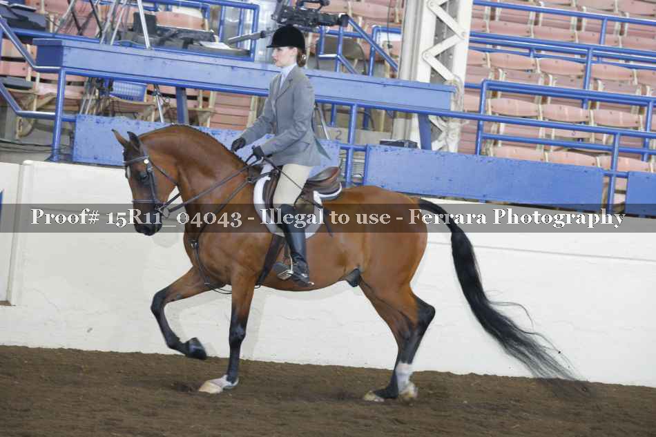 Proof 15R11_04043