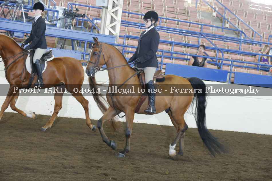 Proof 15R11_04044
