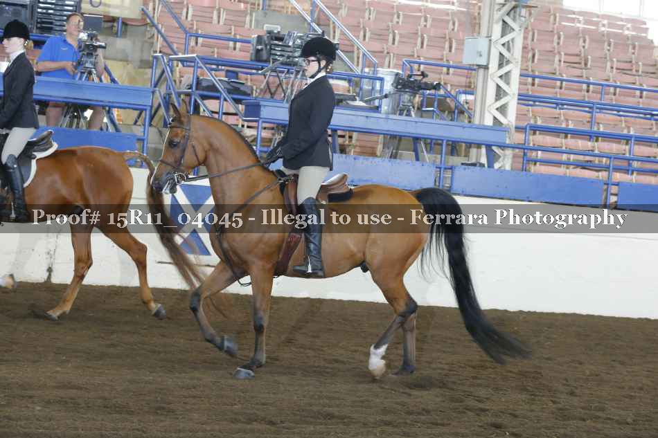 Proof 15R11_04045