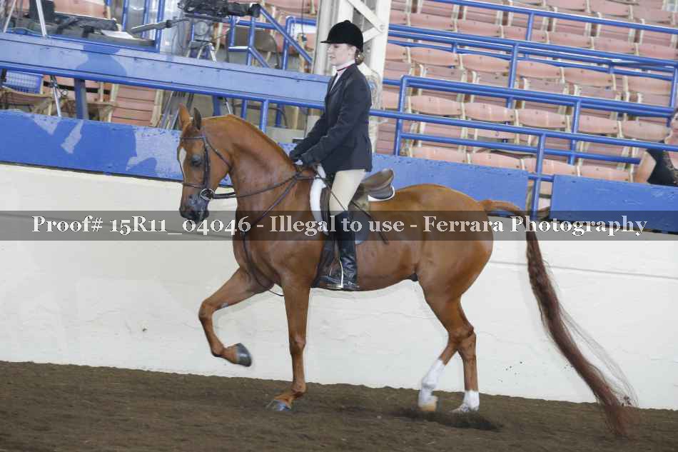 Proof 15R11_04046