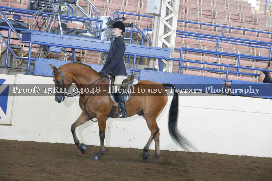 Proof 15R11_04048