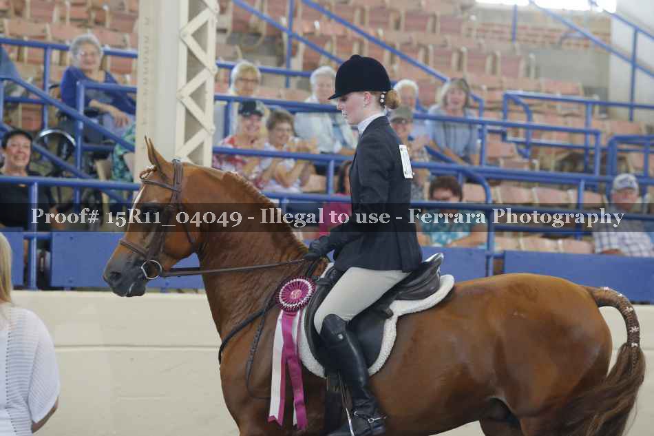 Proof 15R11_04049