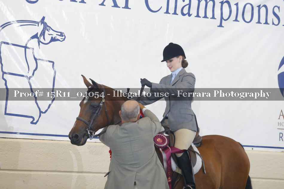 Proof 15R11_04054