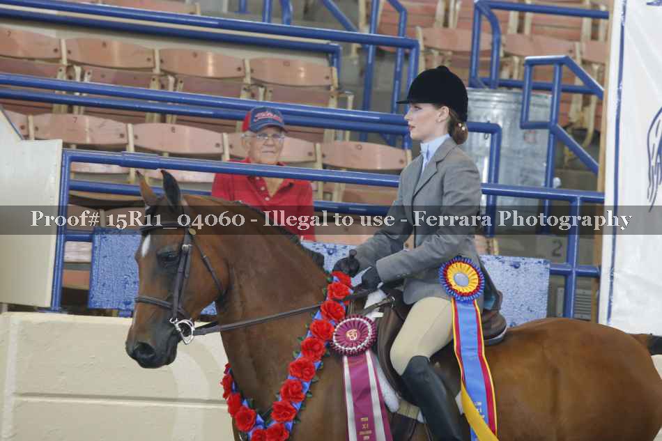 Proof 15R11_04060