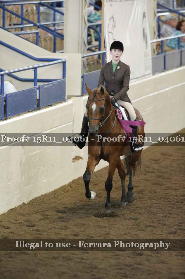 Proof 15R11_04061