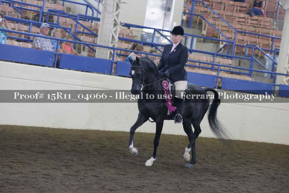 Proof 15R11_04066