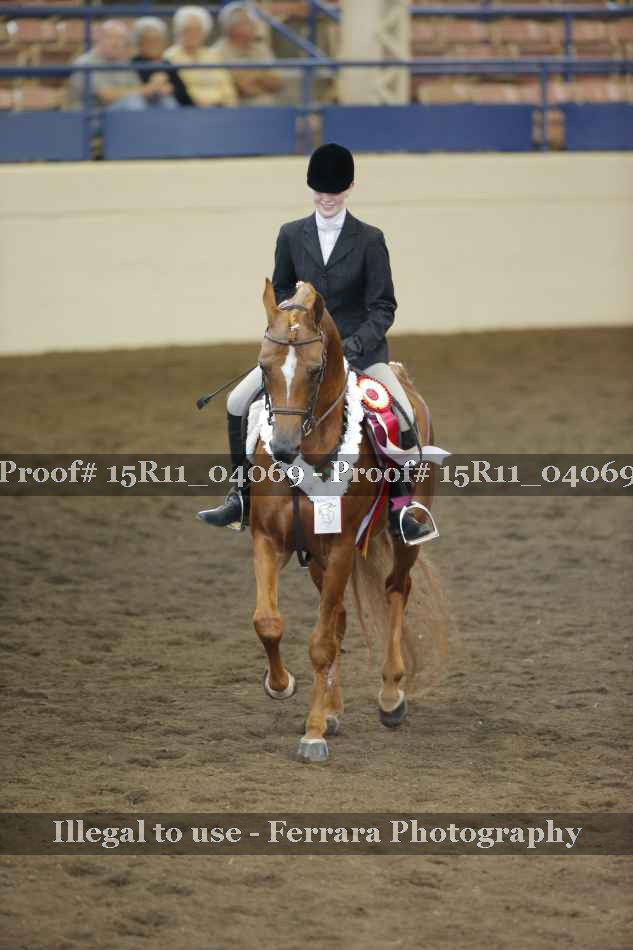 Proof 15R11_04069
