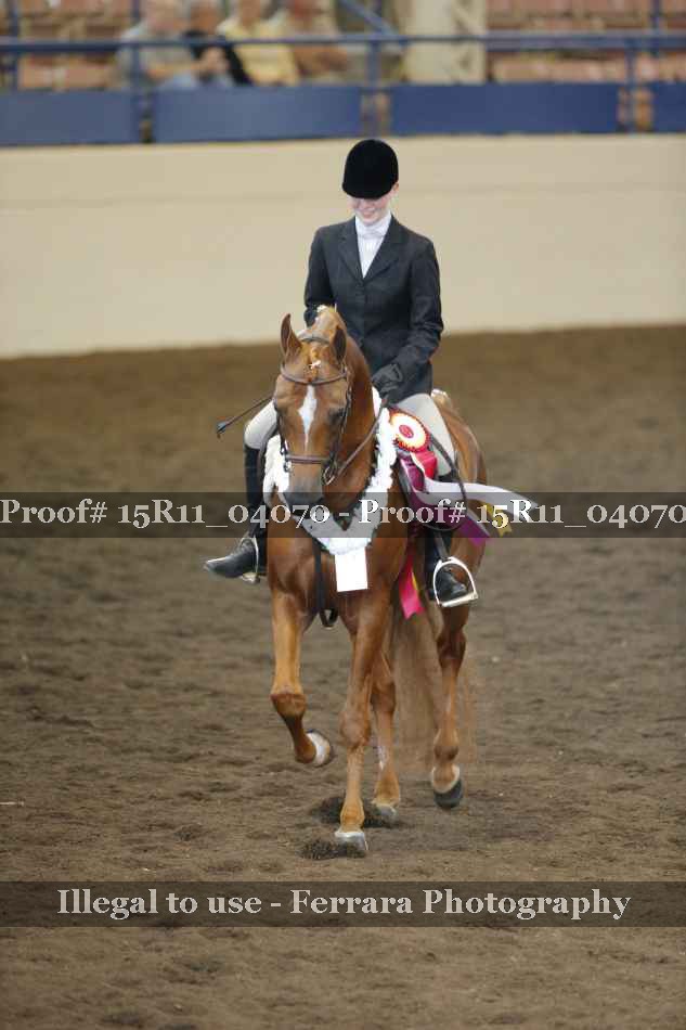 Proof 15R11_04070