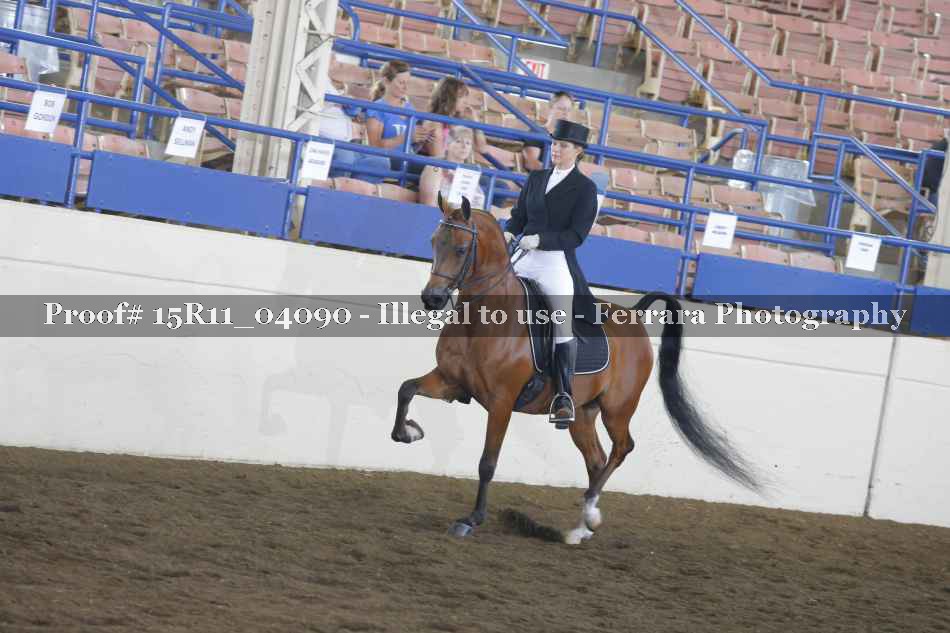 Proof 15R11_04090
