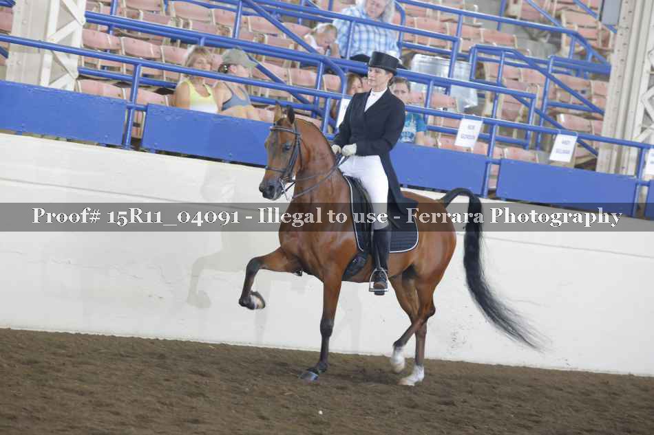 Proof 15R11_04091