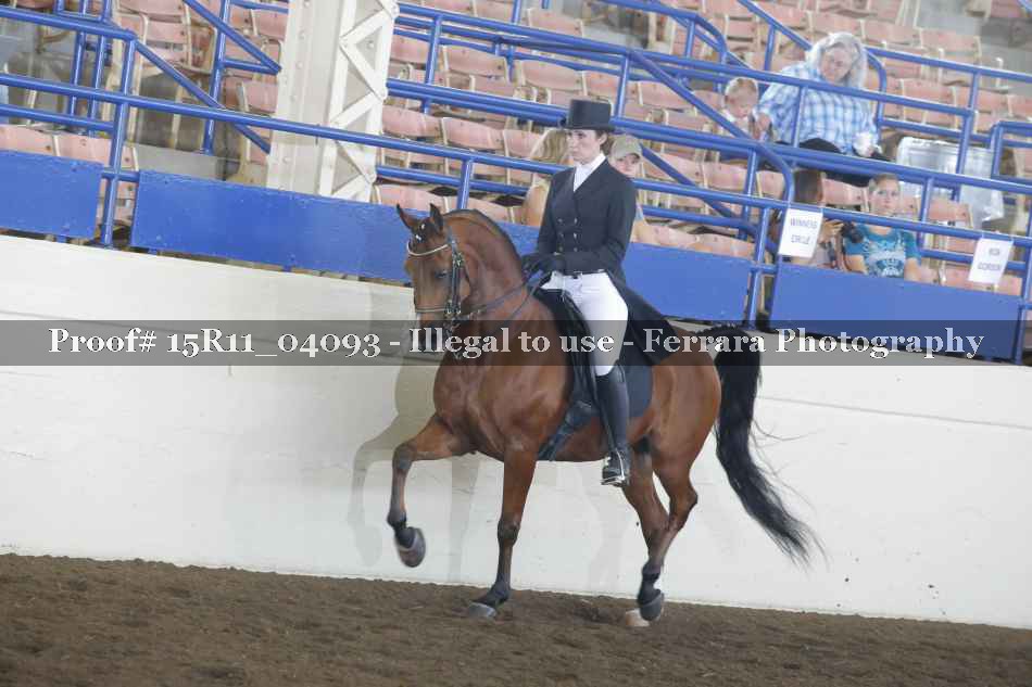 Proof 15R11_04093