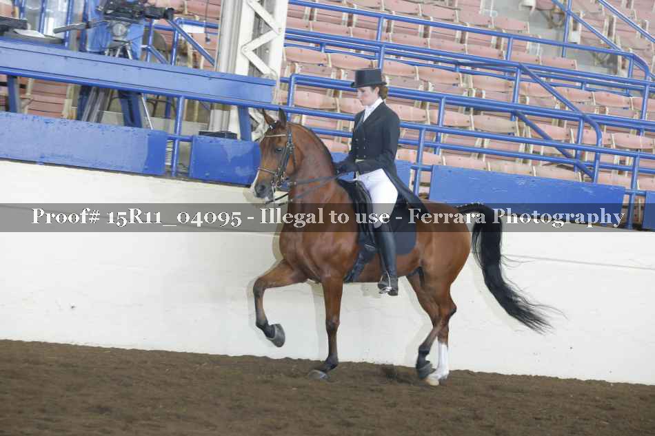 Proof 15R11_04095