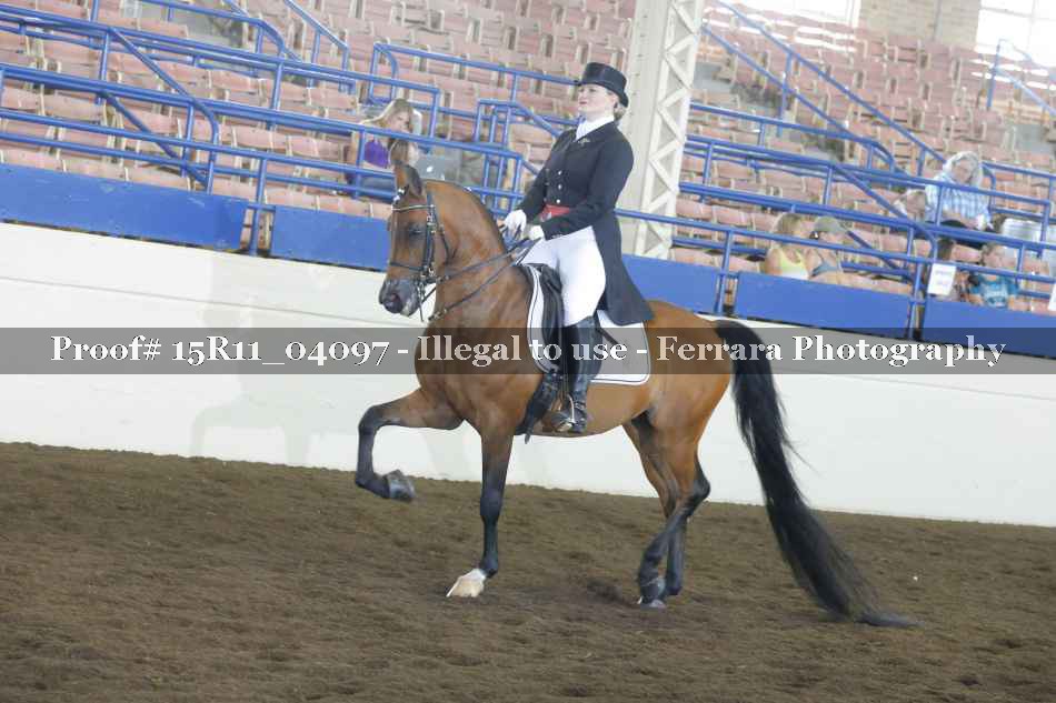 Proof 15R11_04097