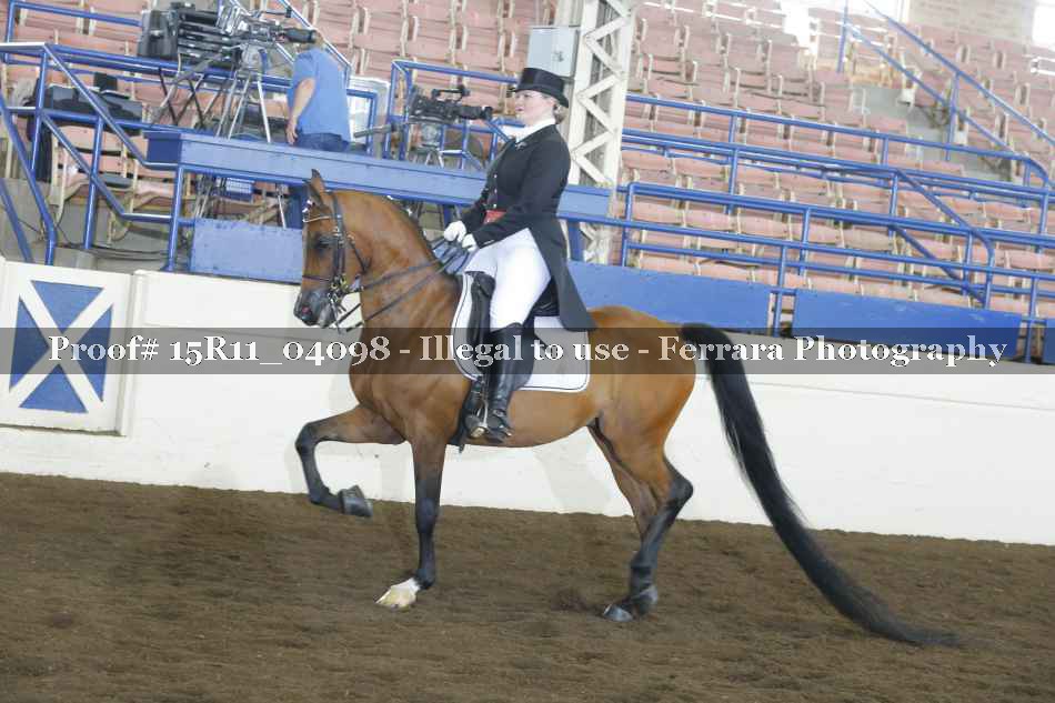 Proof 15R11_04098