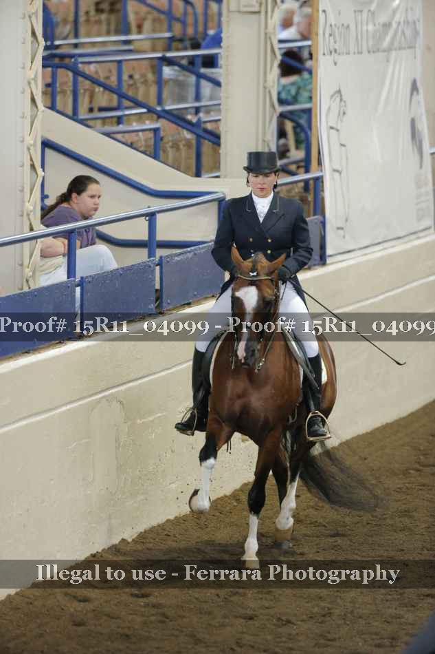 Proof 15R11_04099