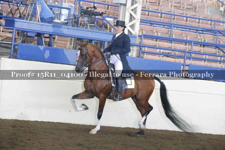 Proof 15R11_04100