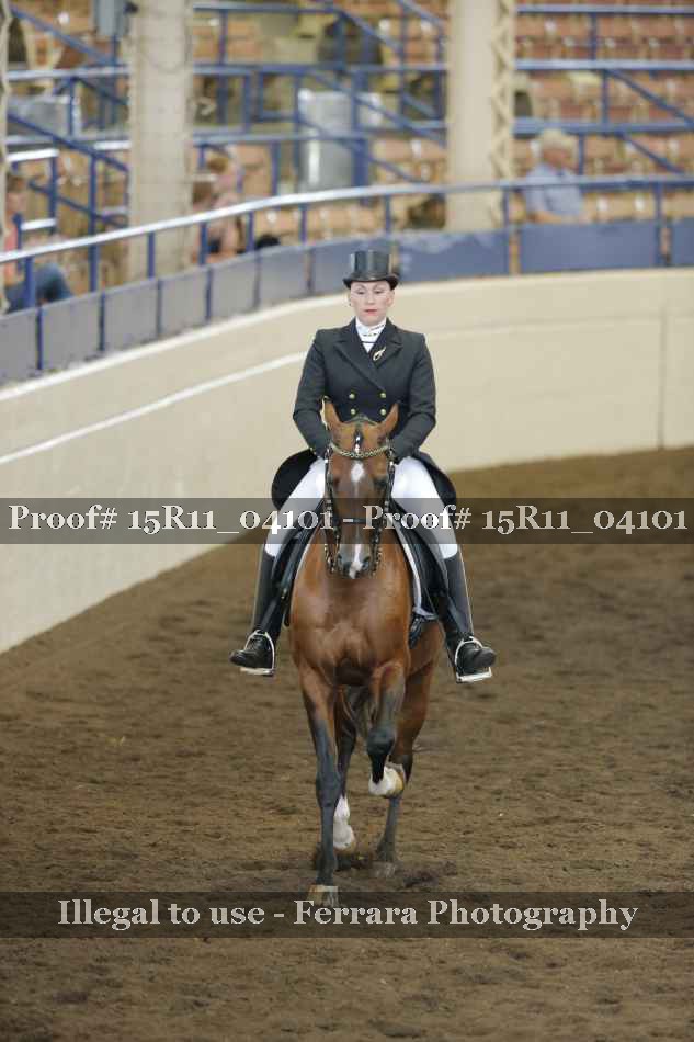 Proof 15R11_04101