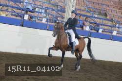 15R11_04102 proof